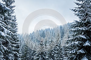 A beautiful winter landscape with a mountain lake in blizzard.