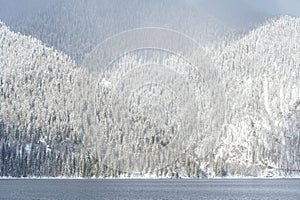 Beautiful winter landscape with mountain Ritsa lake and snow-covered trees along the shore. Tourism and winter holidays