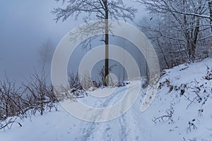 Beautiful winter landscape of mountain trail full of fresh and white snow with trees around