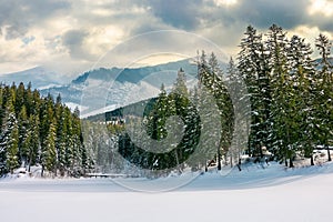 beautiful winter landscape in mountains