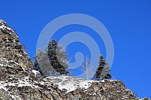 Beautiful winter landscape. Mountains and birches. Siberia. Khakassia.