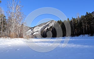 Beautiful winter landscape. Mountains and birches. Siberia. Khakassia.