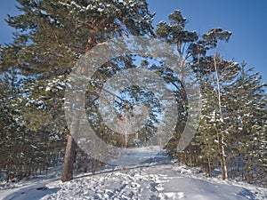 Beautiful winter landscape in the mountains. Sunrise. Fantastic winter landscape during sunset