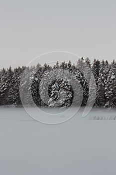 Beautiful winter landscape nature snow forrest scene at outdoor backgrounds