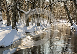 Beautiful winter landscape at park.