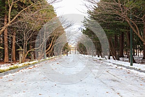 Beautiful Winter landscape with road covered by snow