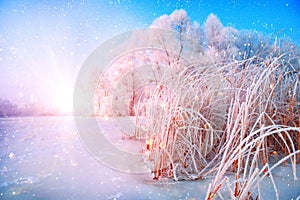 Beautiful winter landscape scene background with snow covered trees and iced river