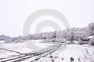 Beautiful winter landscape scene outdoors.