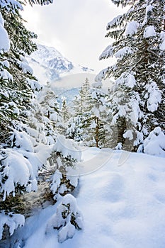 Beautiful winter landscape scenery in Tirol, Reutte, Austria