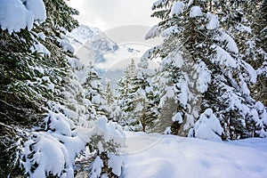 Beautiful winter landscape scenery in Tirol, Reutte, Austria