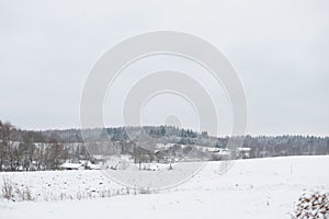 beautiful winter landscape on a small village with houses, trees covered with snow