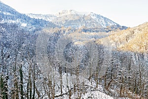 Beautiful winter landscape. snow-capped mountains