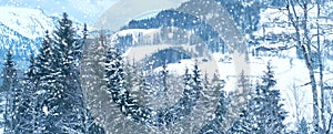 Beautiful winter landscape, snow-covered fluffy fir trees, snowfall in the mountains, panorama of mountain peaks, the Swiss Alps