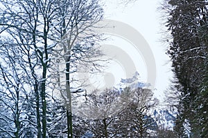 Beautiful winter landscape, snow-covered fluffy fir trees, snowfall in the mountains, panorama of mountain peaks, the Swiss Alps