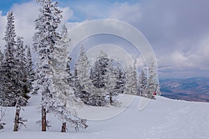 Beautiful winter landscape with snow covered trees and blue sky