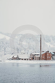 Beautiful winter landscape with snow-covered trees and buildings on the lake shore vertical