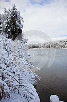 Beautiful winter landscape with snow-covered trees and flowing river. Snow forest and Winter background. Fabulous winter