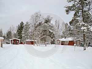 Beautiful winter landscape with snow covered trees. Forest with snow landscape and chalets.