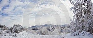 Beautiful winter landscape with snow-covered trees. Winter snow forest with blue sky on background. Fabulous winter