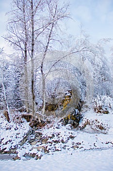 Beautiful winter landscape with snow-covered trees. Winter snow forest with blue sky on background. Fabulous winter. Concept