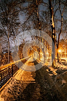 Beautiful winter landscape. Snowfall in park, forest. Mariinsky park in Kyiv, Ukraine