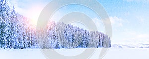 Beautiful winter landscape with snowy mountain forest