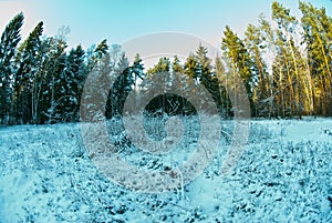 Beautiful winter landscape in the sunny day