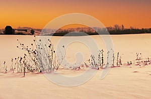 Beautiful winter landscape in sunset