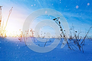 beautiful winter landscape; sunset on the snowy frozen field; ice and snow