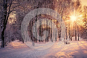 Beautiful winter landscape sunset in winter. color in nature. winter scene. instagram toning effect. retro style