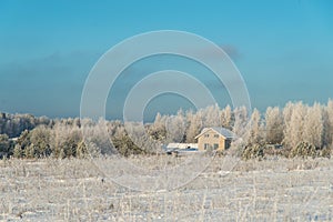 Beautiful winter landscape. Trees covered with frost, one alone house in forest.  Real Lithuanian Europe nature cold weather