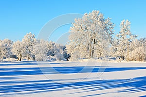 Beautiful winter landscape view