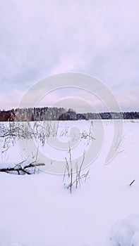 Beautiful winter landscape on white field at edge of forest. Field of white snow and ice on horizon. Light and airy feel