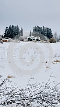 Beautiful winter landscape on white field at edge of forest. Field of white snow and ice on horizon. Light and airy feel