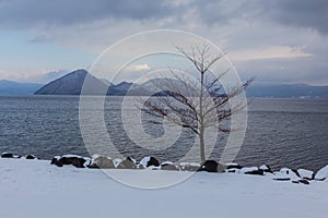 Beautiful Winter Landscape with Winter forest under the snow with foot print