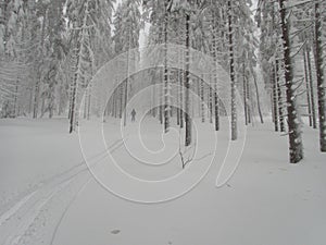 Beautiful winter lanscape skitouring in the alps