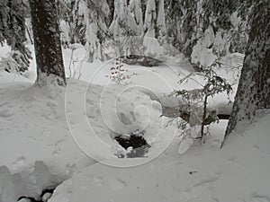 Beautiful winter lanscape skitouring in the alps