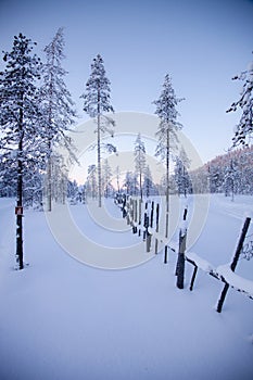 Beautiful winter in Lapland Finland