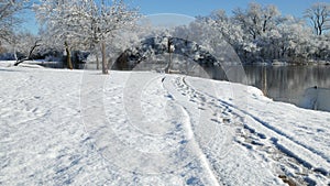 Beautiful winter morning scene by a lake,