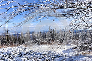 Beautiful winter mountain landscape with clear blue sky and snowy trees. Opawskie Mountains, Poland