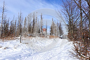 Beautiful winter mountain landscape with clear blue sky and snowy trees. View tower in background. Biskupia Kopa, Poland