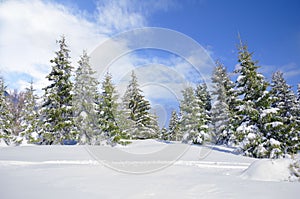 Beautiful winter mountainside landscape