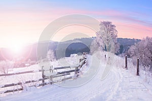 Beautiful winter nature landscape, amazing mountain view of sunset. Scenic image of snowy woodland