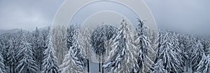 Beautiful winter panorama landscape with snow covered firs at snowy and foggy day