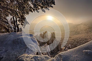 Krásná zimní krajina se zasněženými stromy, hora Slovensko