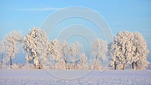 Beautiful winter panorama of Lithuania