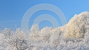 Beautiful winter panorama of Lithuania