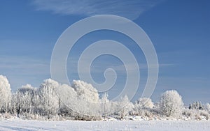 Beautiful winter panorama of Lithuania