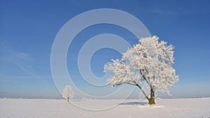 Beautiful winter panorama of Lithuania