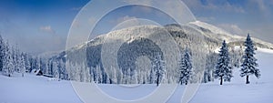 Beautiful winter panoramic landscape snow-covered conifer trees at sunrise. Winter in mountains.